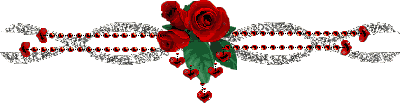 Dellgull5
