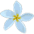 Icon20